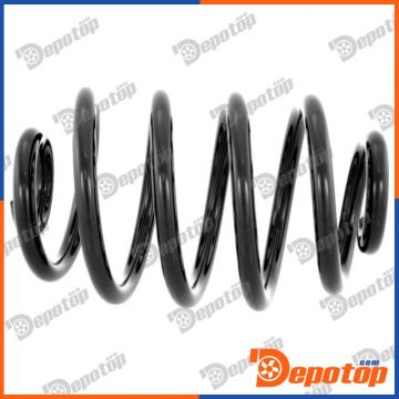 Ressorts de suspension arrière pour RENAULT | 2120057, 38130564